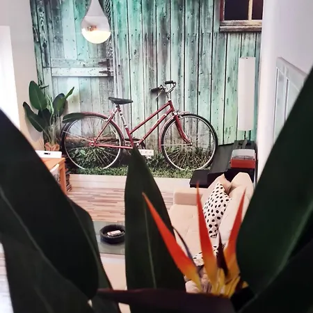 Loft Con Terraza Centro 코르도바