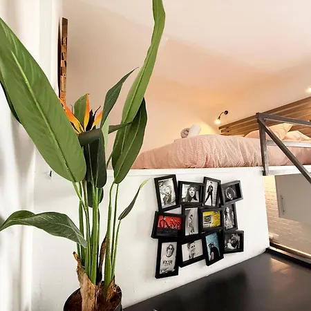 Loft Con Terraza Centro Apartamento *